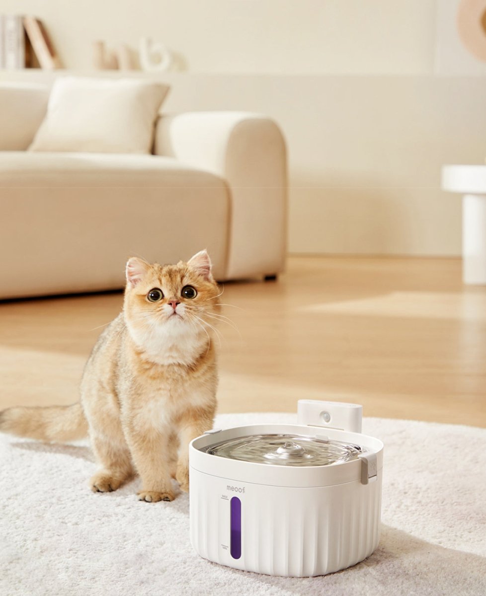Wireless Smart Sensor Pet Water Fountain with Ceramic Plate