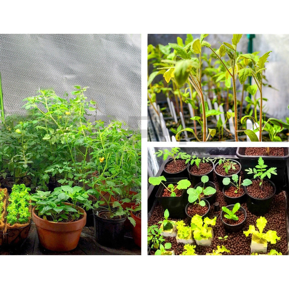 NNEDSZ Greenfingers Hydroponics Grow Tent Kits Hydroponic Grow System Black 60X60X90CM 600D Oxford-1